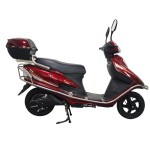 Powerful Electric Motorcycle Century Princess Brushless Gearless Motor LCD Instrument Electric Vehicle